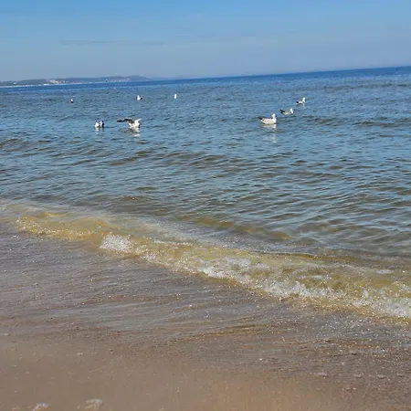 Familijny Delux 아파트 *