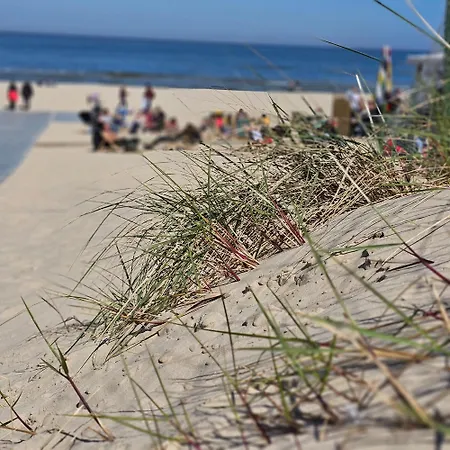 Familijny Delux 아파트 슈비노우이스쳬